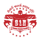 Style 1 N Emblem